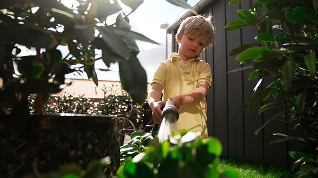 Lille dreng vander planter